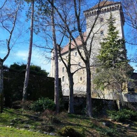 Lodge & Castle - Vue Chateau - Climatisation - Majord'Home Annecy Exterior photo